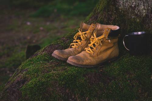 Wir wandern... 2025 Bild Wanderungen