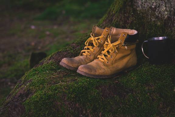 Wir wandern... 2025 Bild Wanderungen