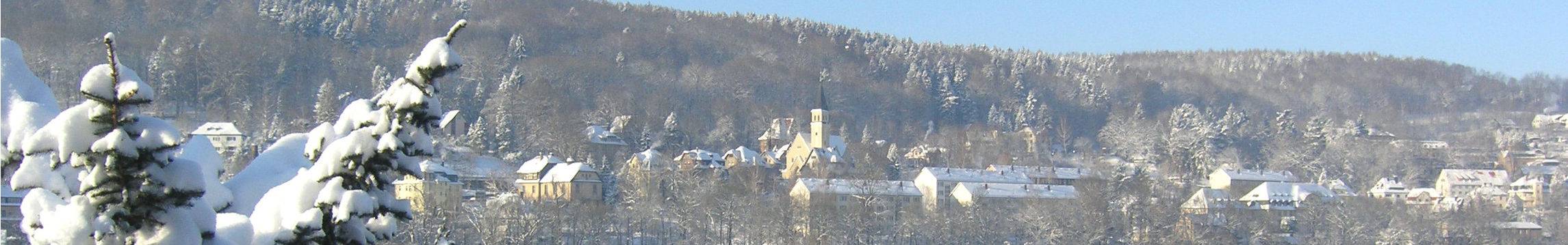 aue winter
